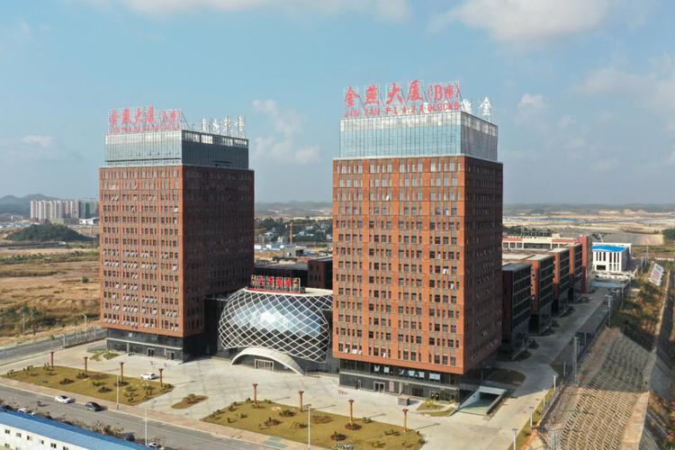 广西自贸区新燕国际贸易 连接中国与东盟的贸易代理新引擎